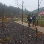 20171102_121236_001