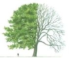 sejmik_Bolszewo_resize-height_resize-height